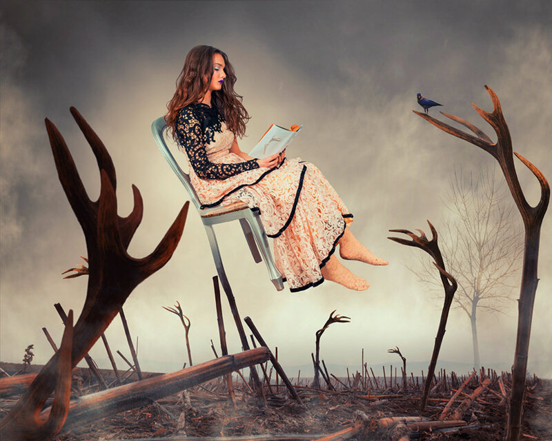 Woman Reading Book — Gray, Dramatic