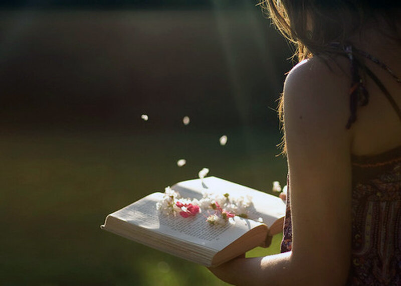 Woman Reading Book — Green, Serene, Afternoon, Photograph