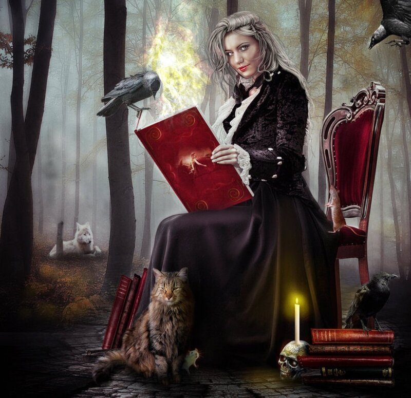 Woman Reading Book in Forest
