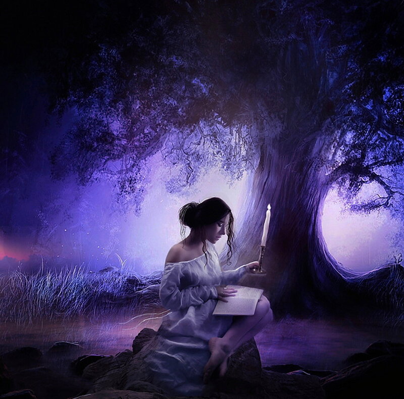 Woman Reading Book — Purple, Serene, Night