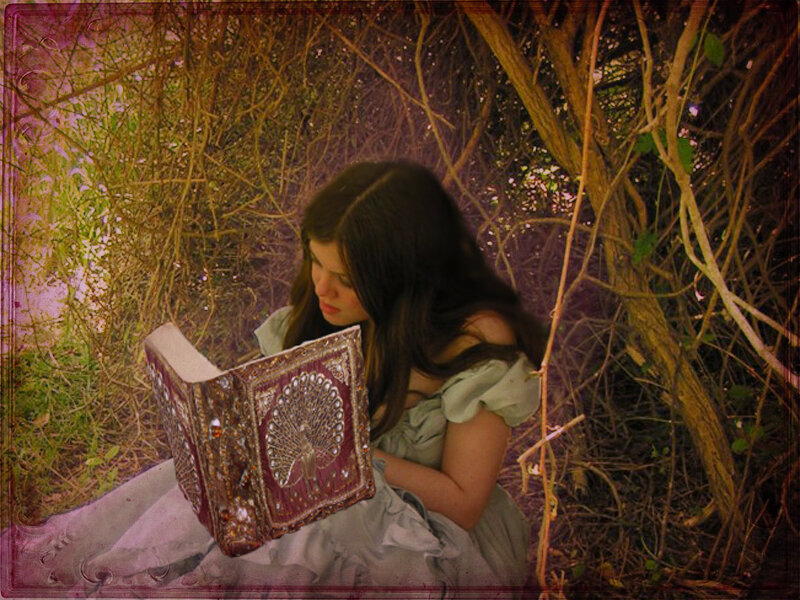 Woman Reading Book — Purple, Serene