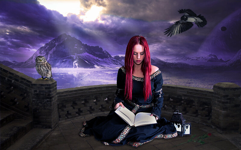 Woman Reading Book — Purple