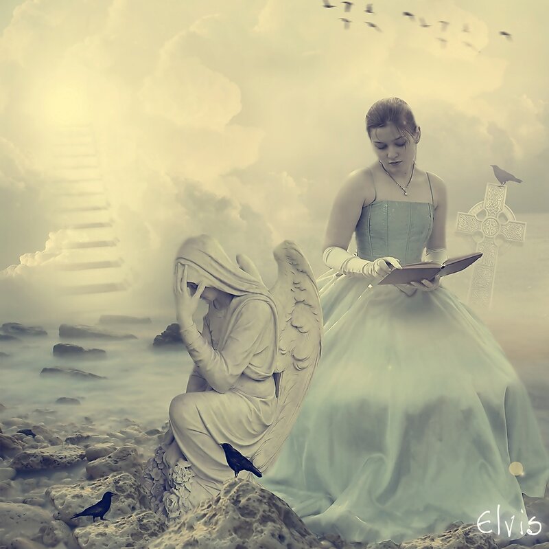 Woman Reading Book — White, Dramatic