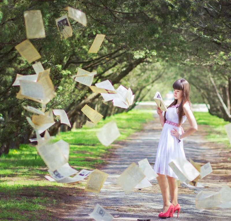Woman Reading Book — White, Serene, Afternoon, Photograph, Books