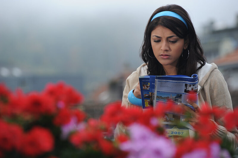 Woman Reading Brochure