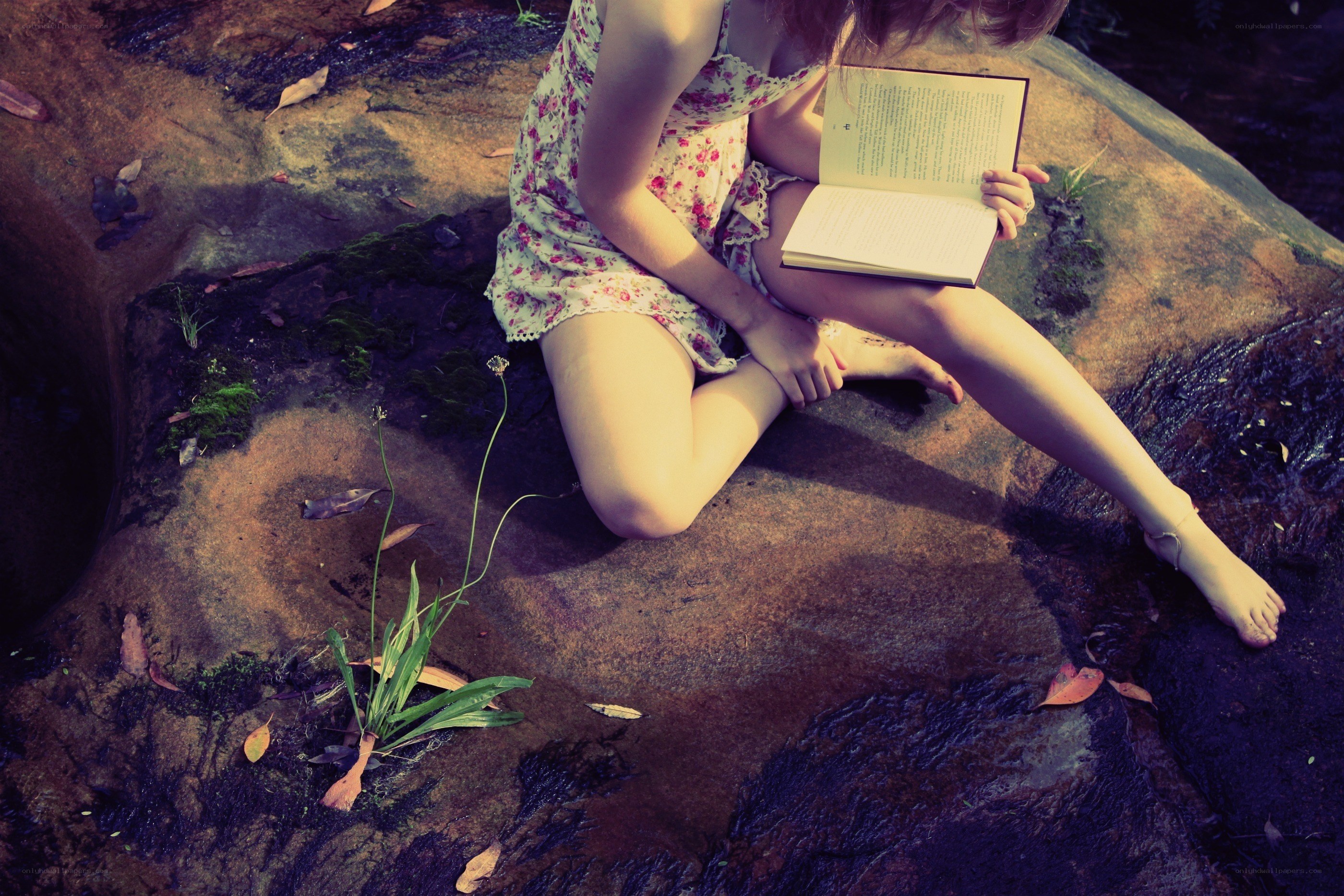 Woman reading by a stream