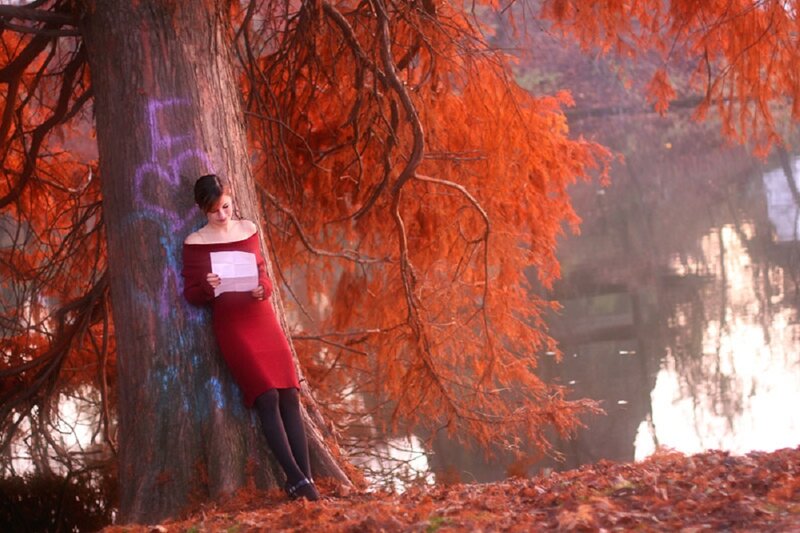 Woman Reading by Tree