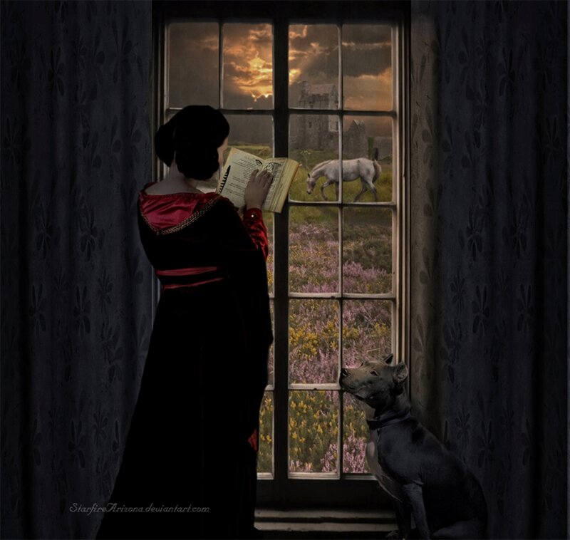 Woman Reading by Window — Black