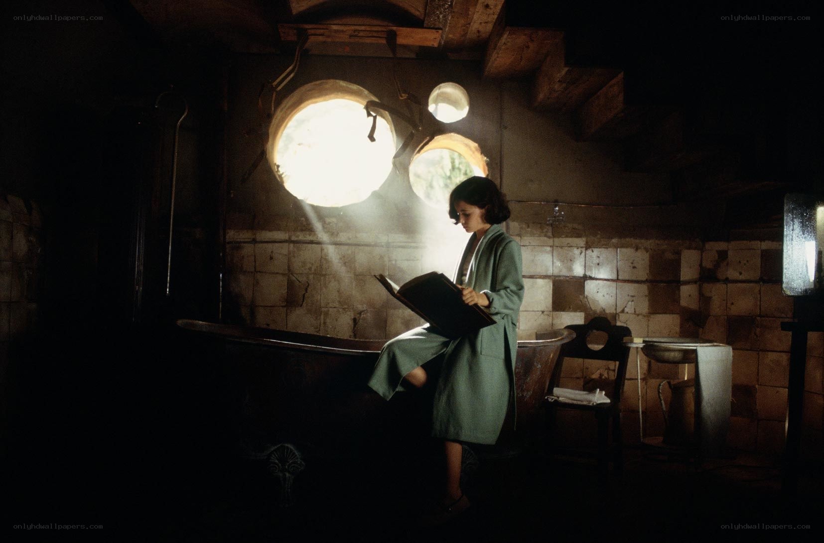 woman reading by window light