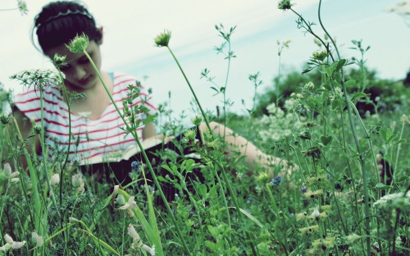 woman reading in a field