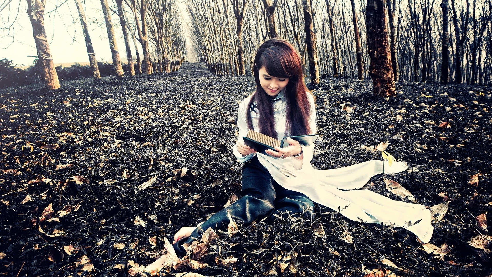 Woman reading in a forest