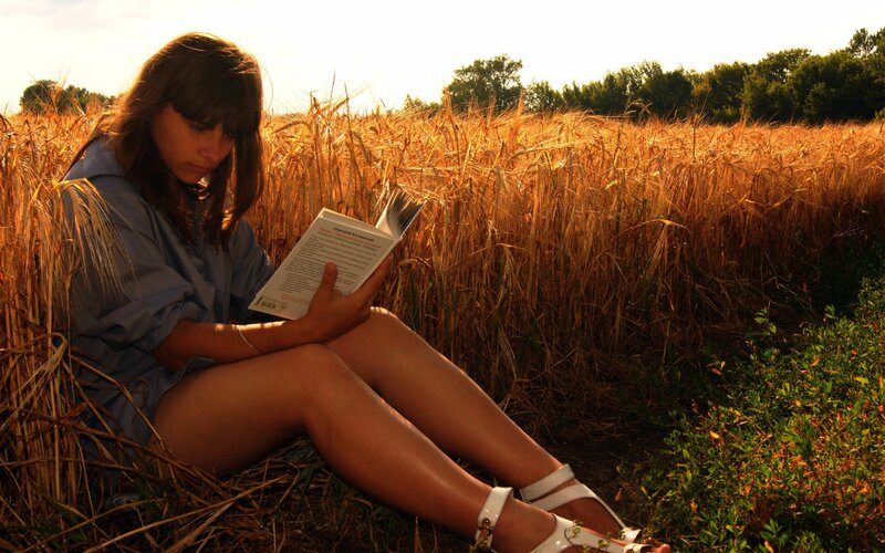 Woman reading in a wheat field