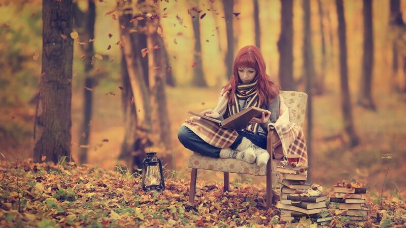 Woman Reading in Forest — Brown, Serene