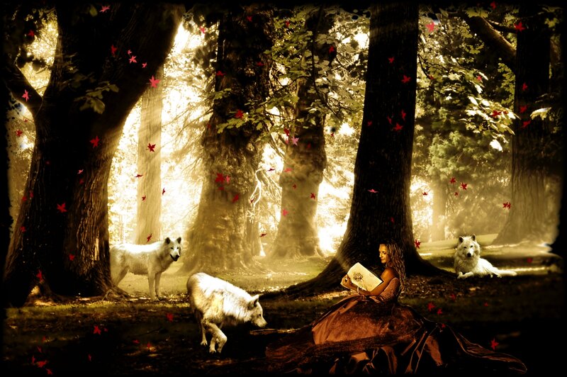 Woman Reading in Forest — Brown