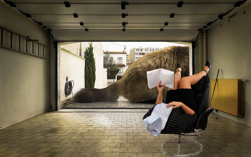 Woman reading in garage with giant cat