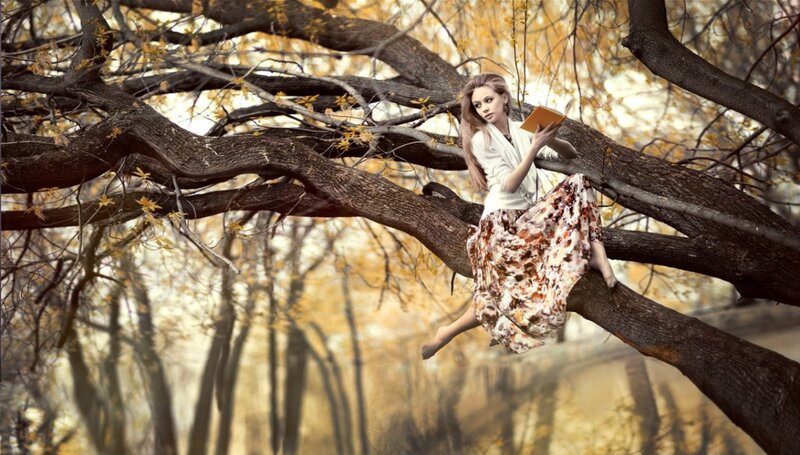 Woman Reading in Tree — Brown