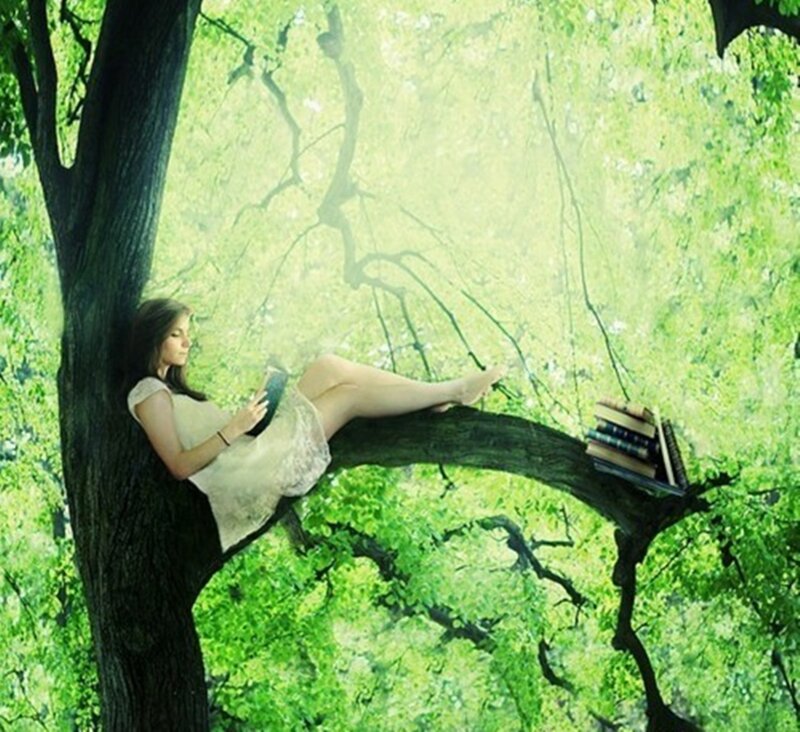 Woman Reading in Tree — Green