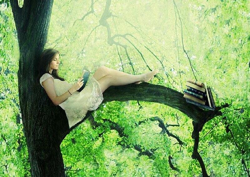 Woman Reading in Tree