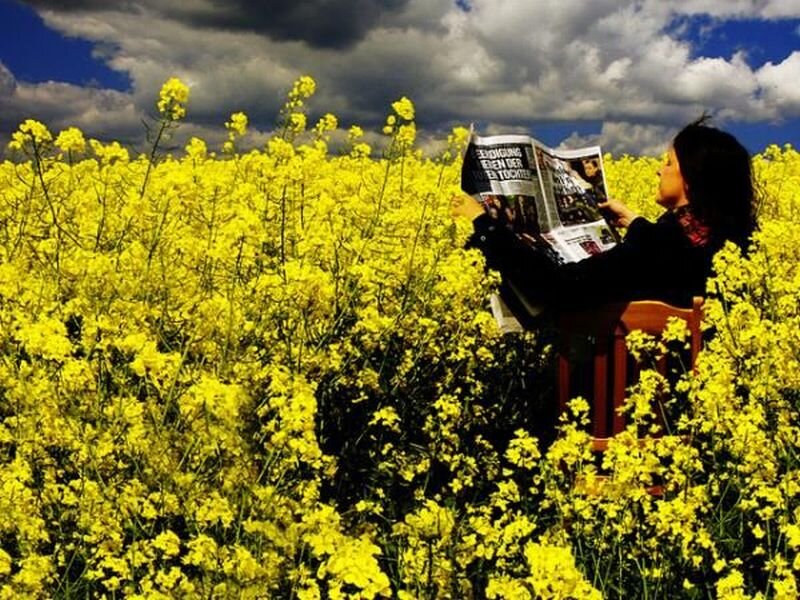 Woman Reading Newspaper — Yellow