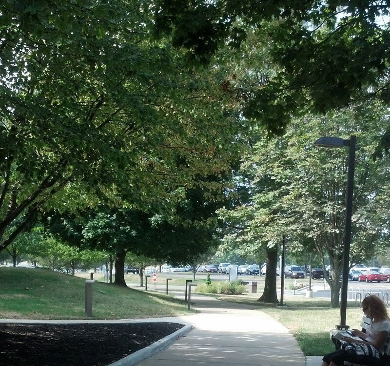 Woman Reading on Bench — Green, Calm