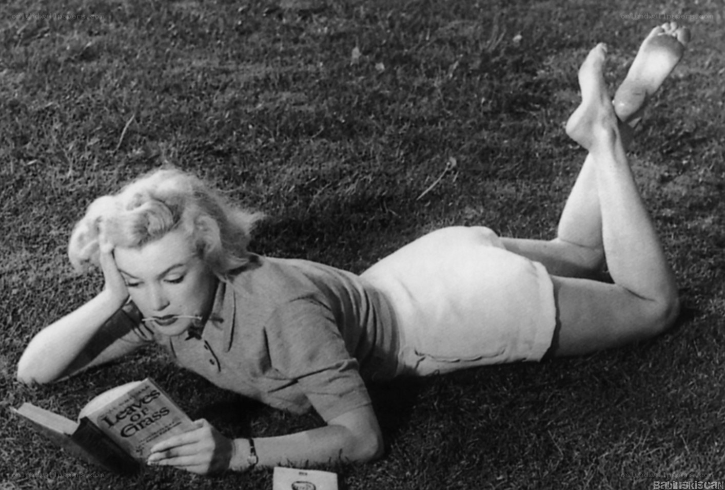 Woman reading on grass