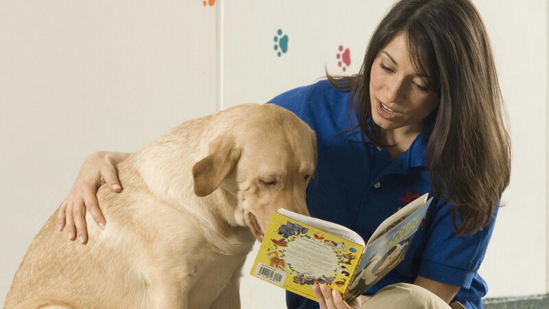 Woman Reading to Dog