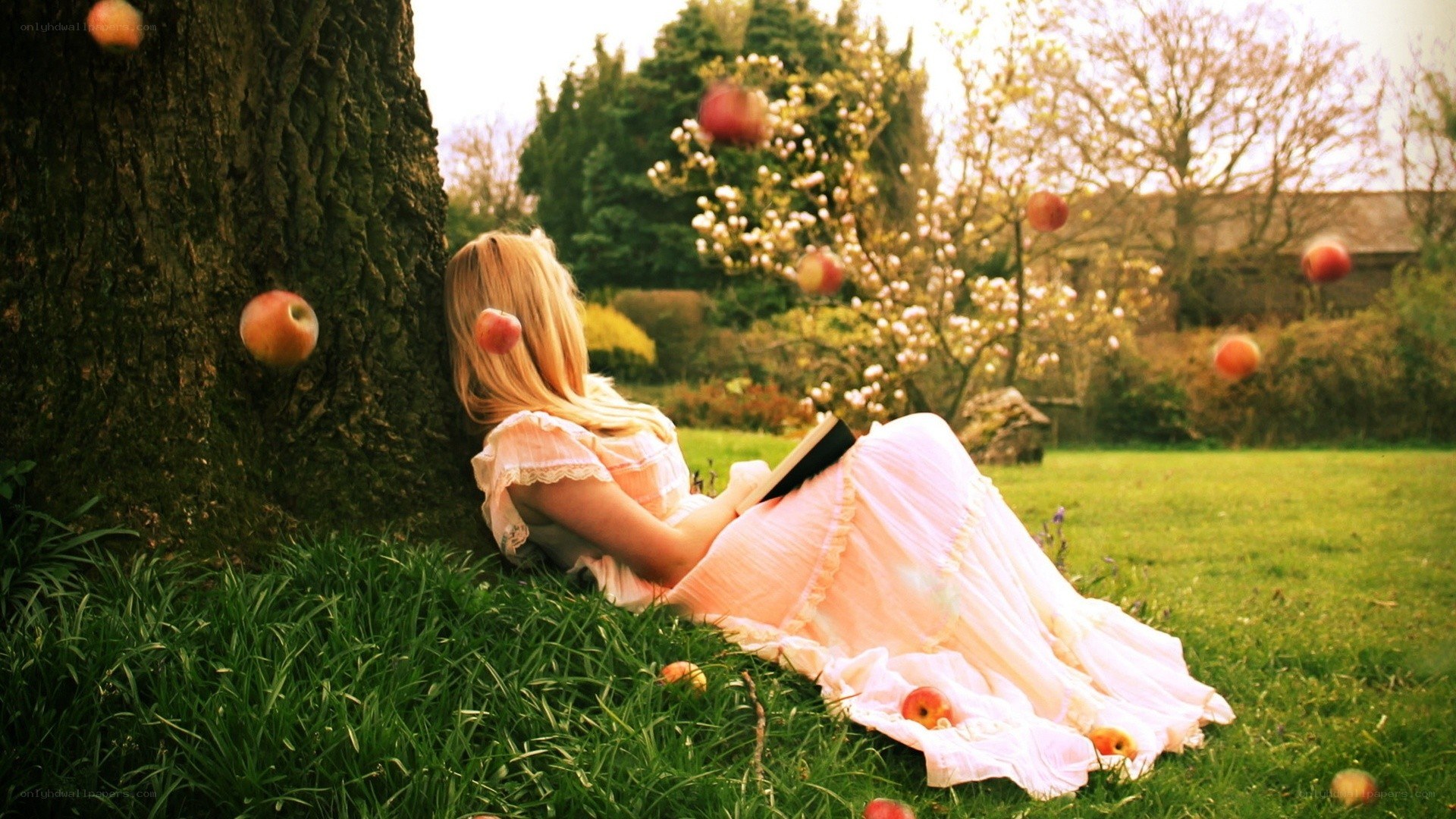 Woman reading under apple tree