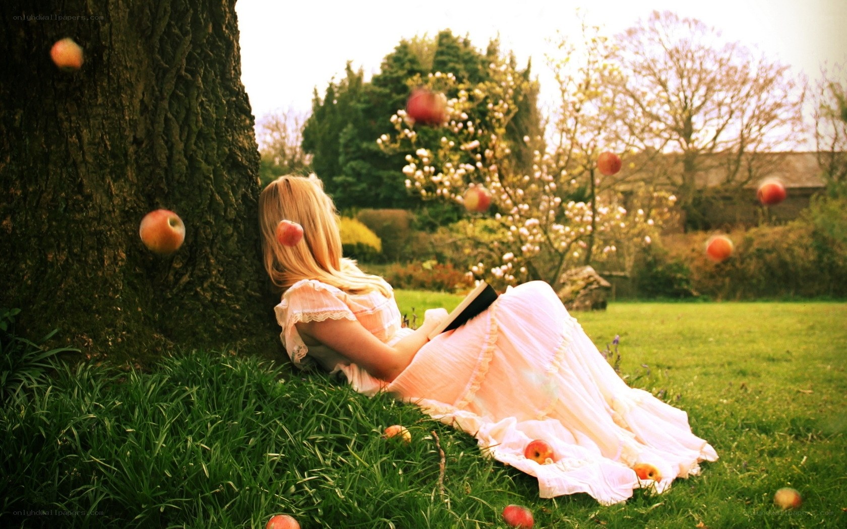 Woman reading under apple tree