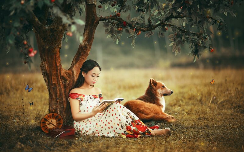 Woman Reading under Tree — Brown