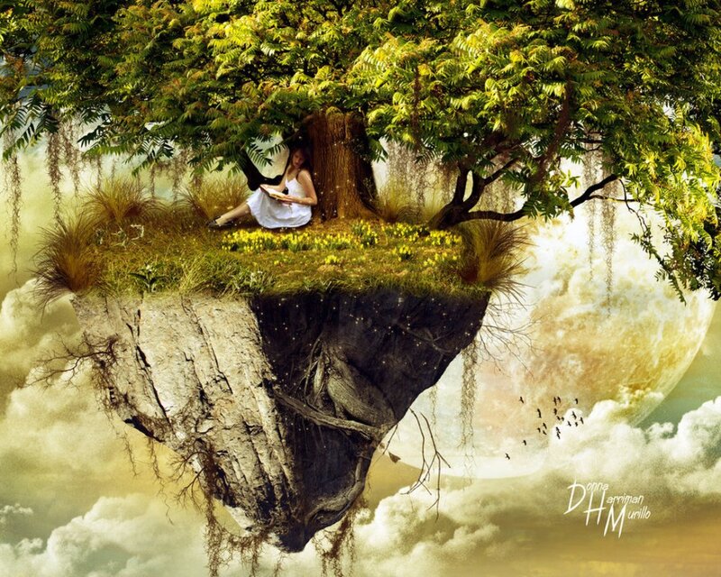 Woman Reading under Tree — Green, Serene, Night