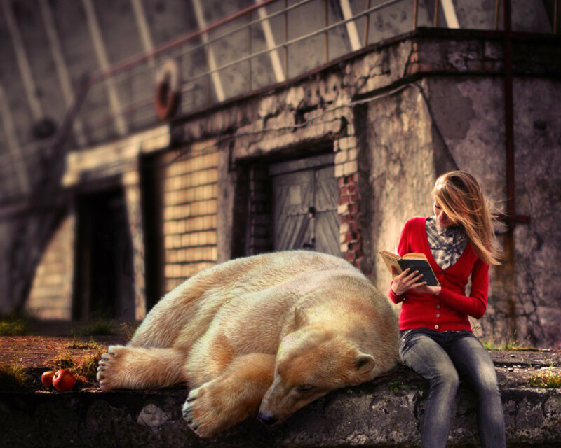 Woman Reading with Polar Bear