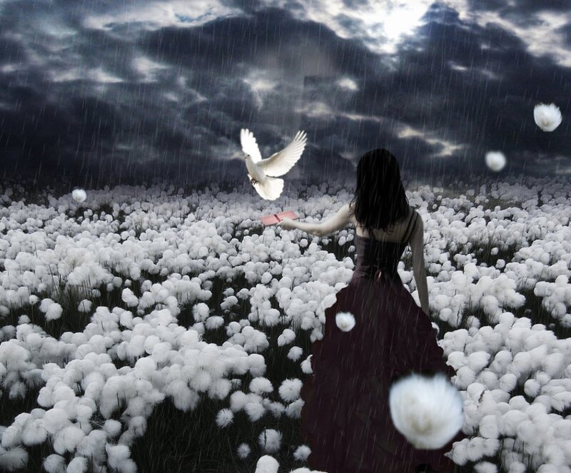 Woman Releasing Dove — White