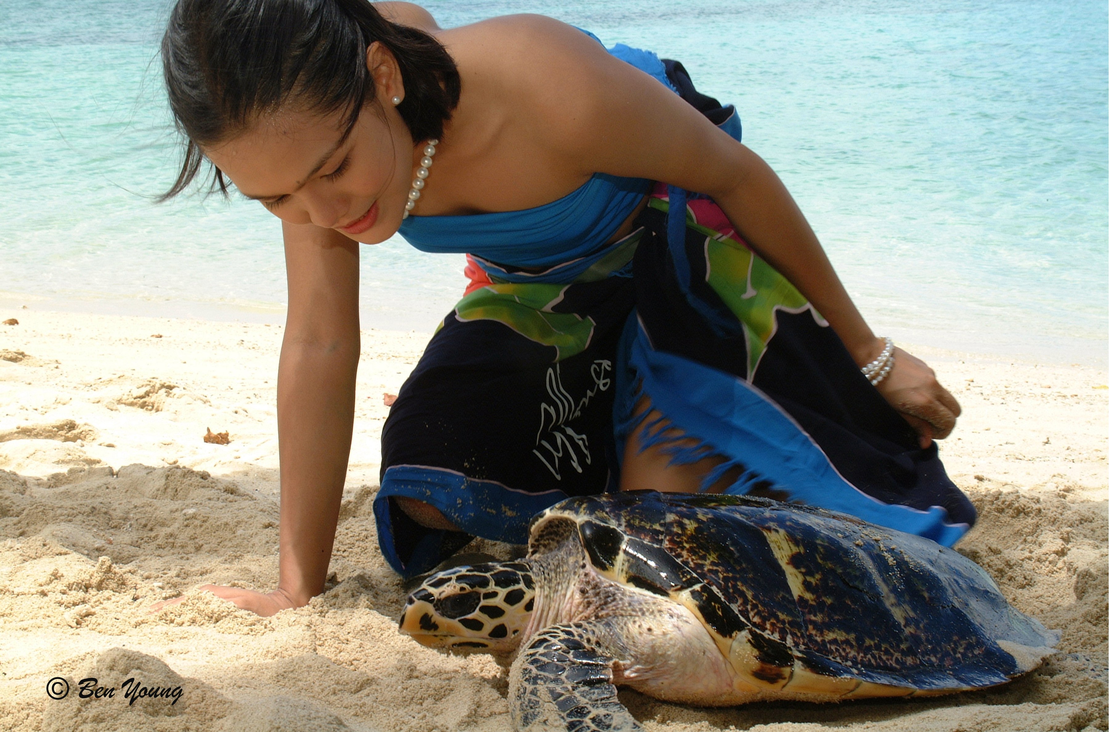 Woman releasing sea turtle