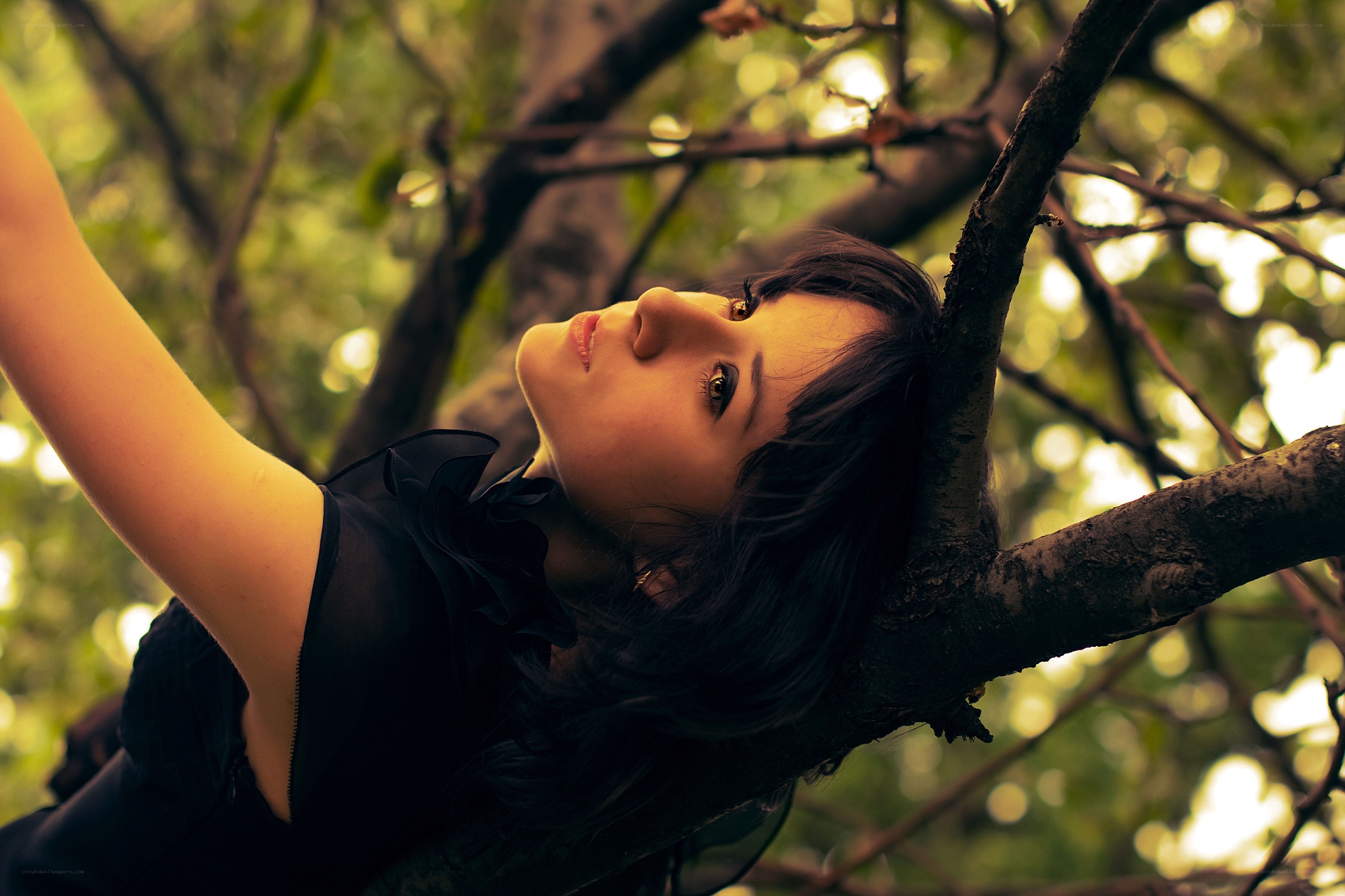 woman resting in a tree