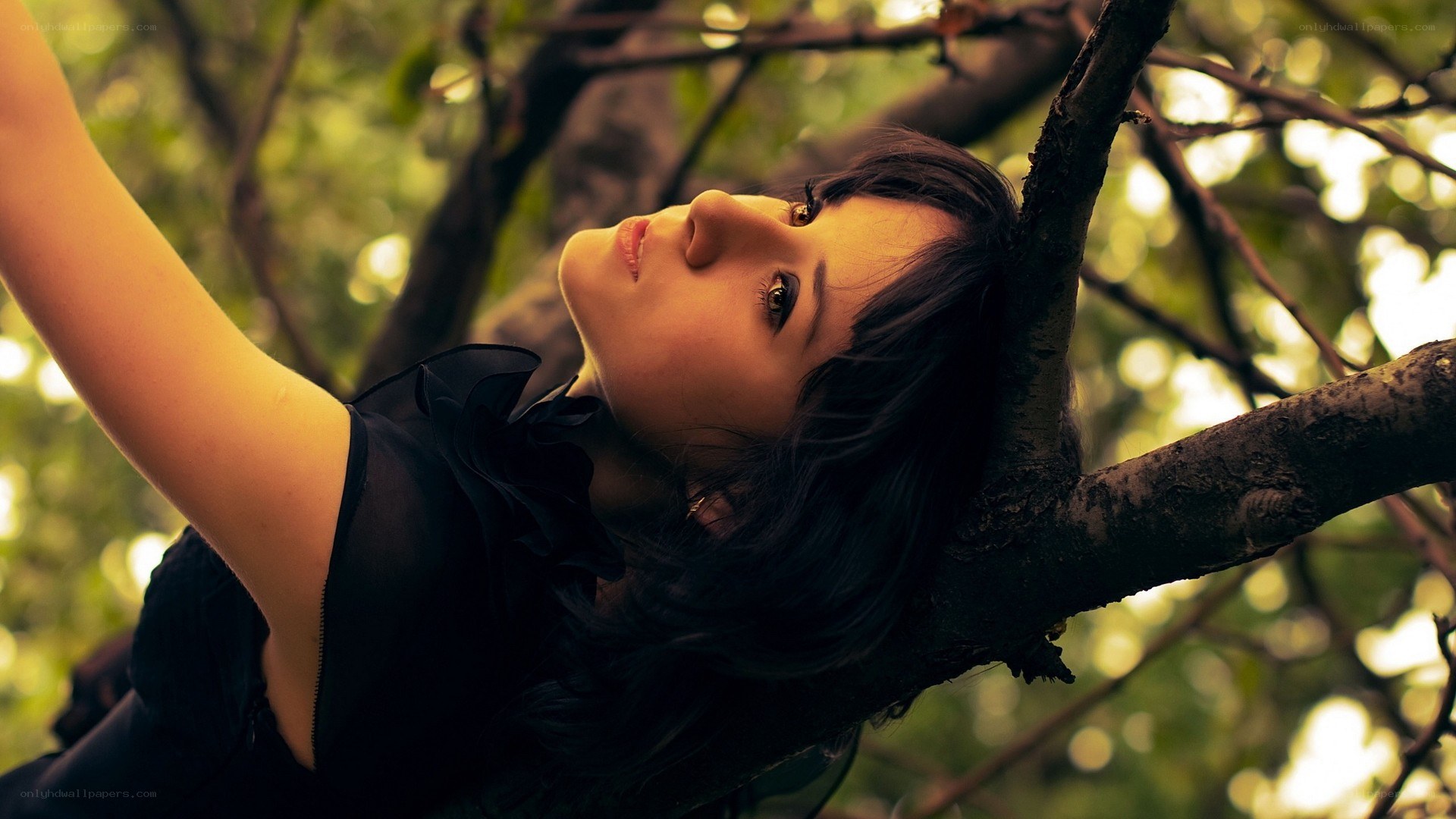 woman resting in a tree