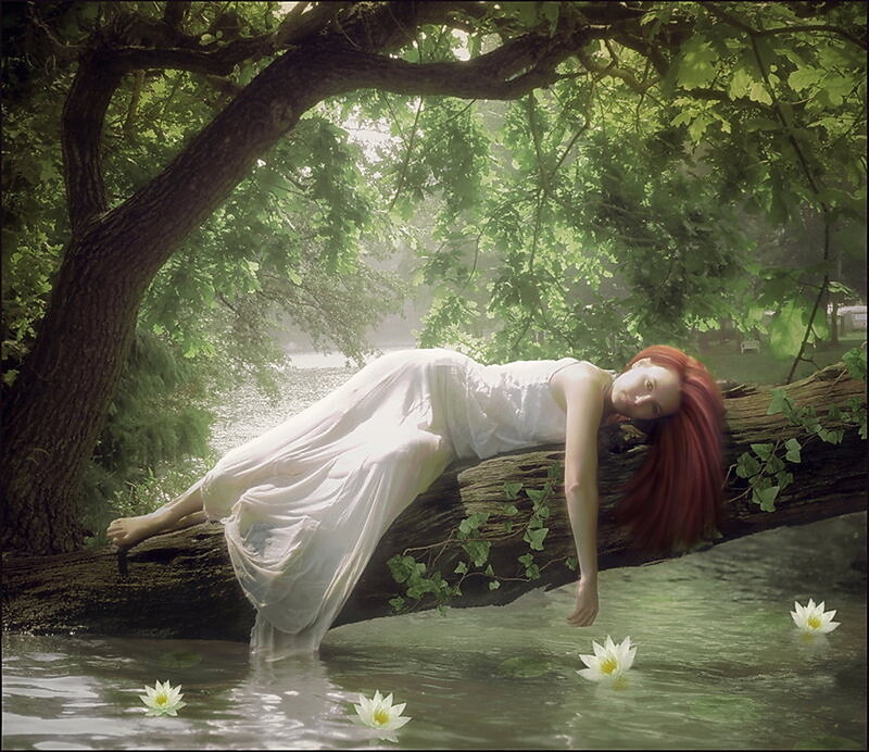 woman resting on a log in nature