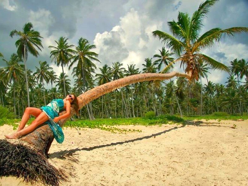 Woman resting on a palm tree