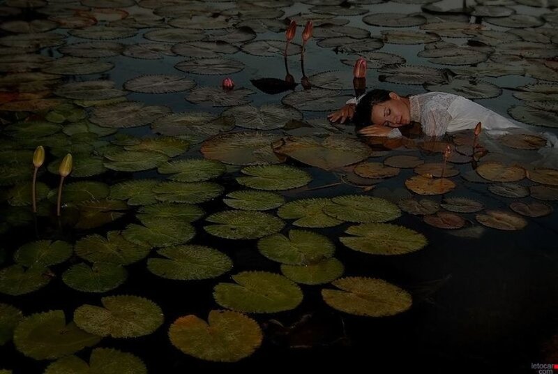 woman resting on lily pads