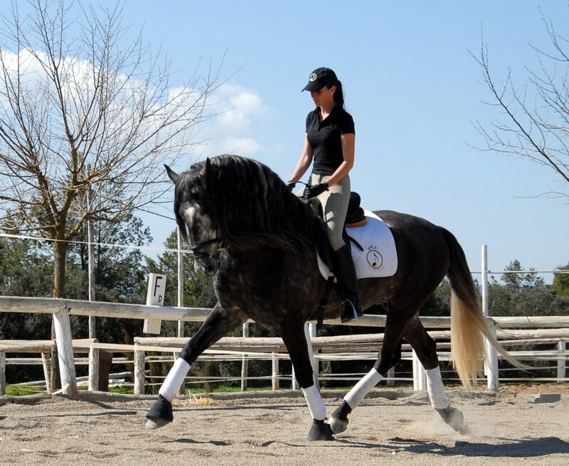 woman riding a black horse