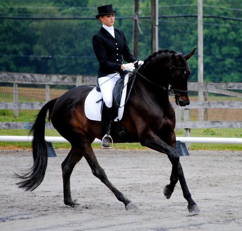 Woman Riding a Horse — Black, Focused, Afternoon
