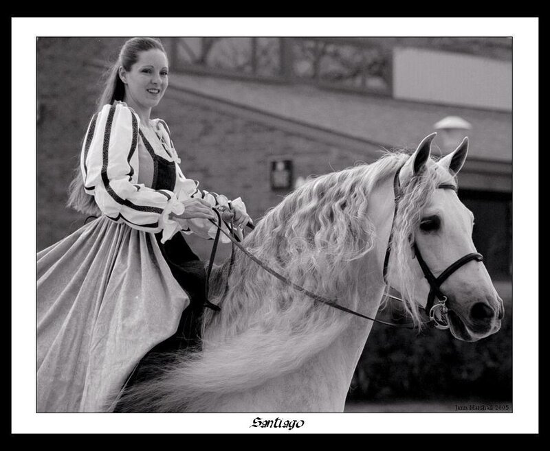 Woman Riding a Horse — Black