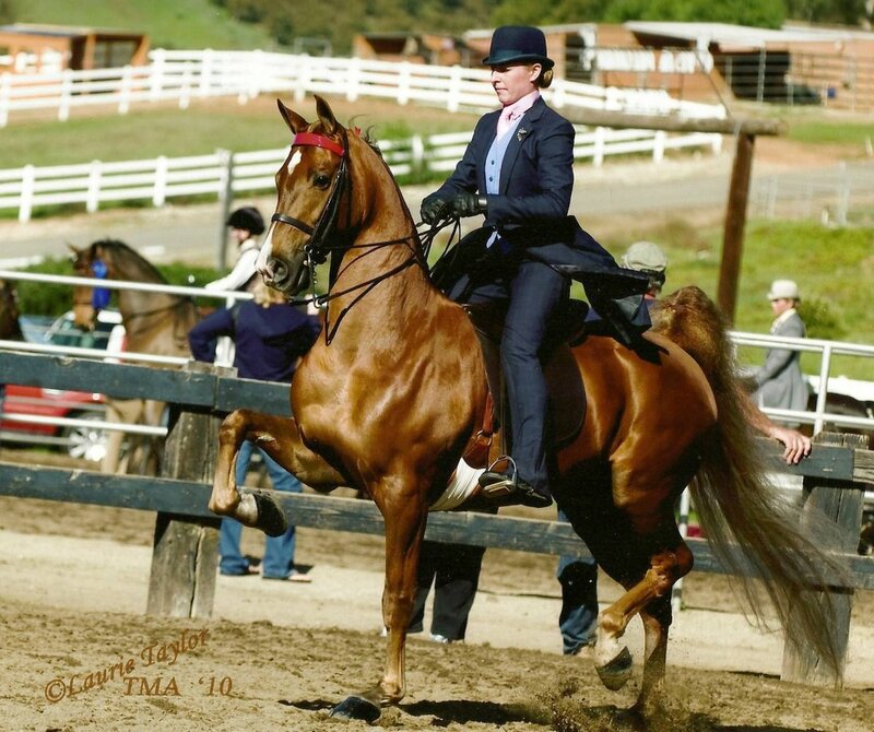 Woman Riding a Horse — Brown, Active