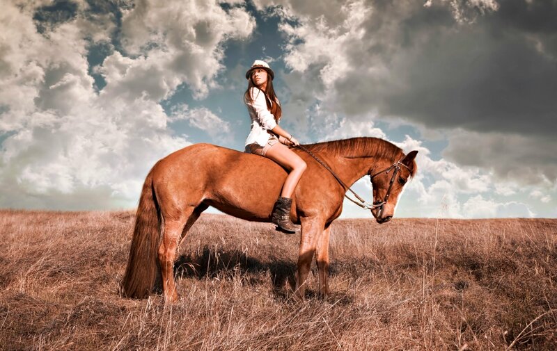 Woman Riding a Horse — Brown, Dramatic, Afternoon, Photograph