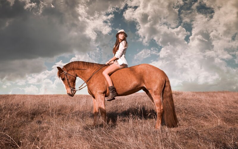 Woman Riding a Horse — Brown, Dramatic, Afternoon