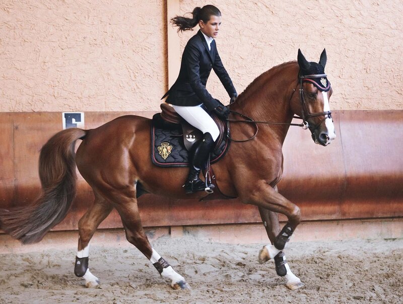 Woman Riding a Horse — Brown, Focused, Photograph, Saddle