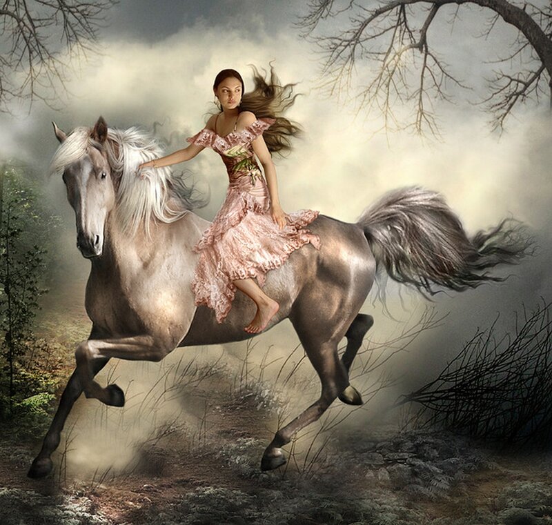 Woman Riding a Horse — Gray, Dramatic