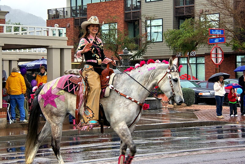 Woman Riding a Horse — Gray, Rainy