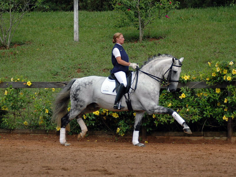 Woman Riding a Horse — Gray