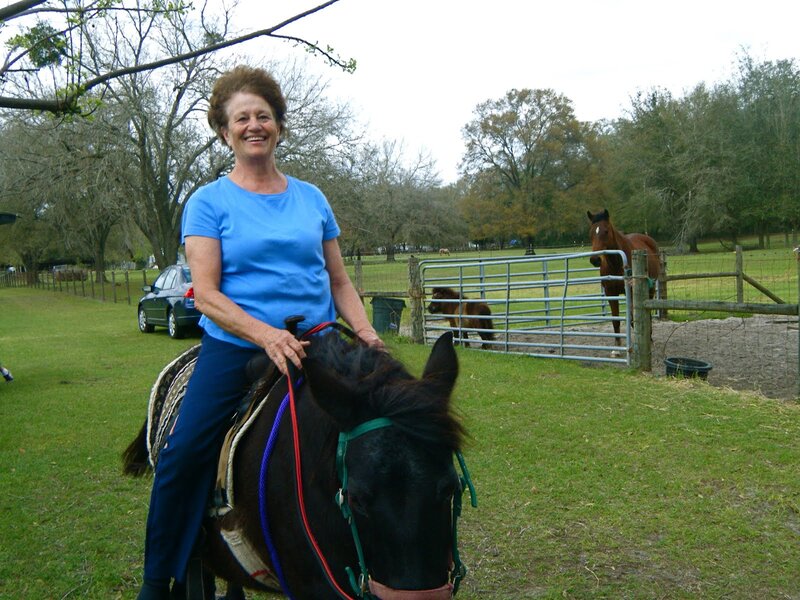 Woman Riding a Horse — Green, Calm, Afternoon