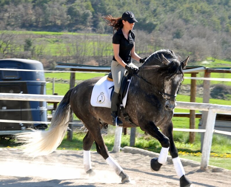 Woman riding a horse in an arena
